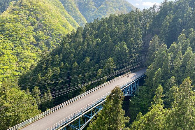 Tokyo's hidden nature cycling tour - Okutama Historical Road Tour - Fitness, weather, and what to bring