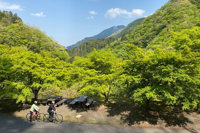 Tokyo's hidden nature cycling tour - Okutama Historical Road Tour - What the small group changes