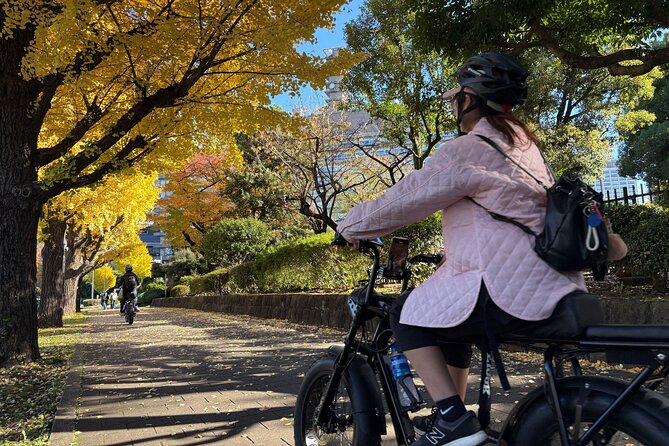 Tokyo Top Highlights 3h Guided E-bike Tour - Price, group size, and practical value