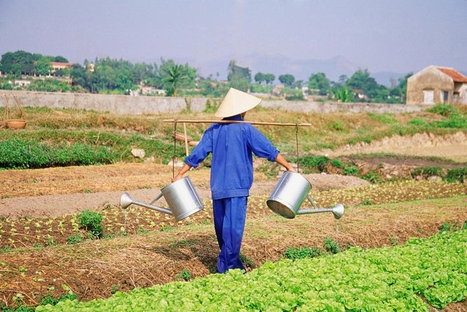 Tra Que Village Cycling And Farming - What the $25 price really covers