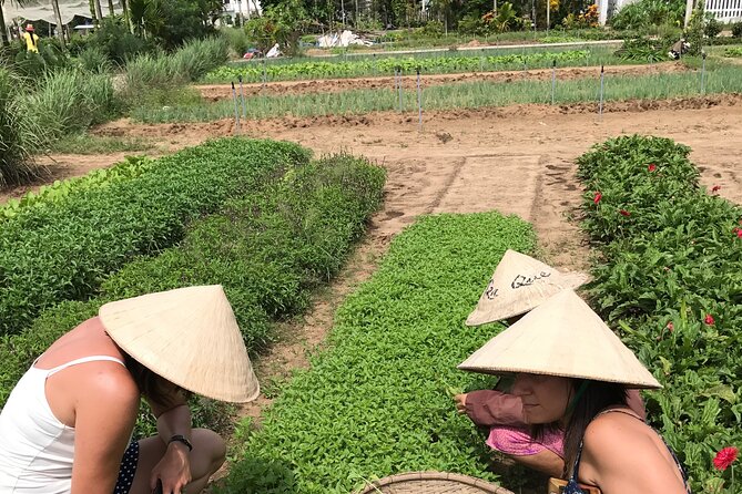 Tra Que Village Cycling And Farming - Guide quality matters here