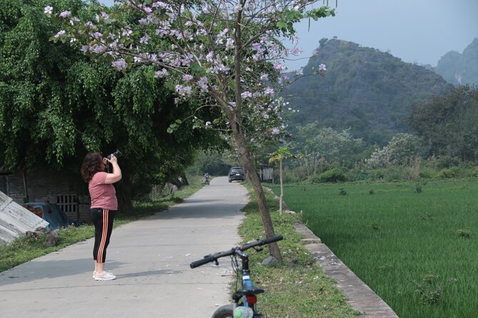 Trang An and Bich Dong Luxury Small Group Tour with Cycling - Bich Dong Pagoda and the climb into the mountain