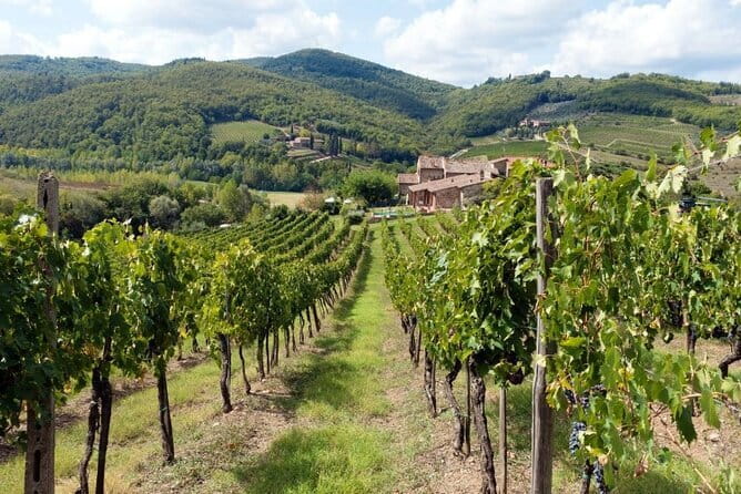 Tuscan countryside bike tour and food tasting - What the $128.94 price gets you