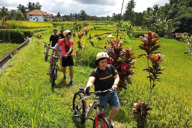 Ubud Cycling Tour - Guides, support, and group size