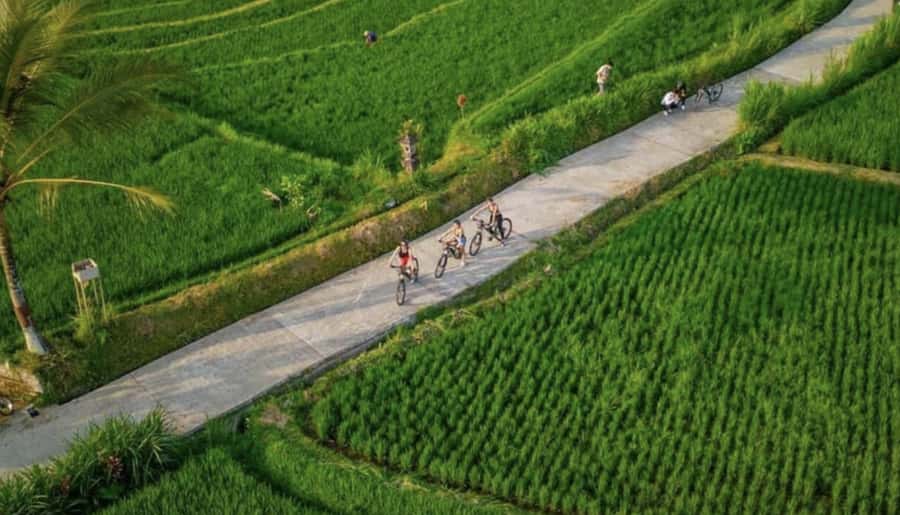 Ubud: Cycling Tour Local Villages, Temple, and Rice Field - Key points to know before you book