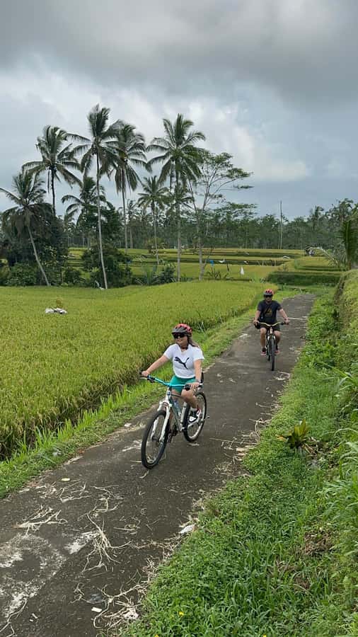 Ubud: Cycling Tour Local Villages, Temple, and Rice Field - Rice fields close enough to understand
