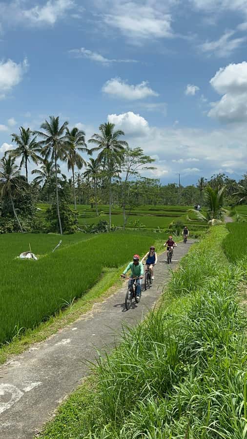 Ubud: Cycling Tour Local Villages, Temple, and Rice Field - Breakfast before the ride, lunch after it
