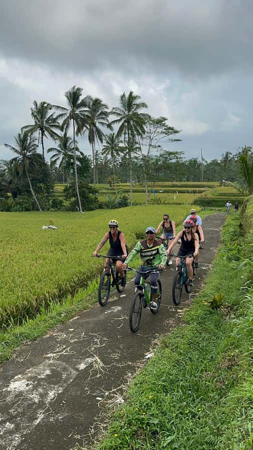 Ubud: Cycling Tour Local Villages, Temple, and Rice Field - Who will enjoy this three-hour outing