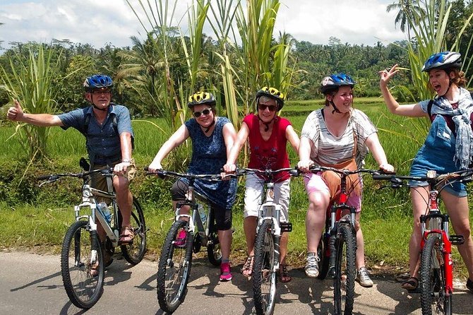 Ubud Cycling Tour - Tegalalang Rice Terrace in a ten-minute stop