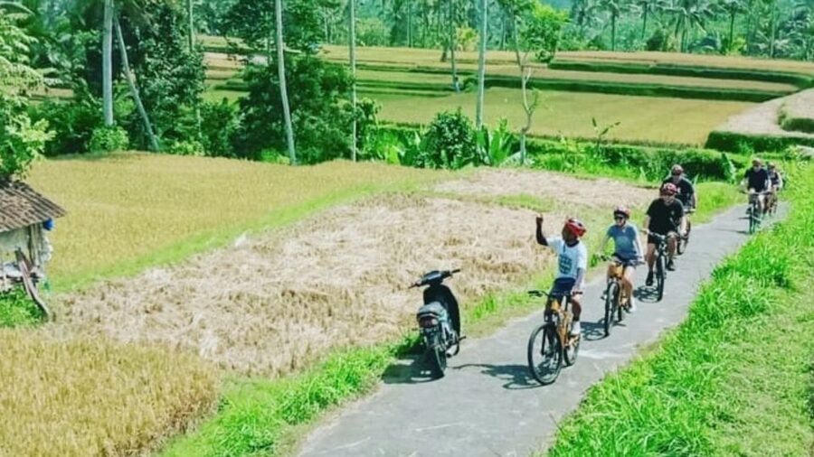 Ubud: Downhill Countryside Cycling From Kintamani - Should you book the Kintamani to Ubud cycling tour?