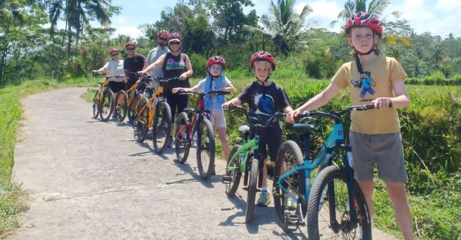 Ubud: Downhill Countryside Cycling From Kintamani - Rice fields, village roads, and ordinary Bali