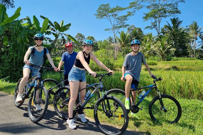 Ubud: Downhill Cycling with Volcano, Rice Terraces, and Meal - Starting near South Batur with a volcano view
