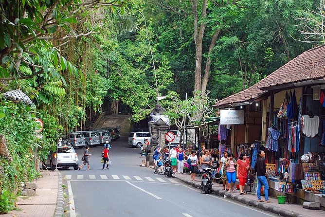 Ubud Eco Culture Cycling Exploration - Abangan rice fields and a cool coconut stop