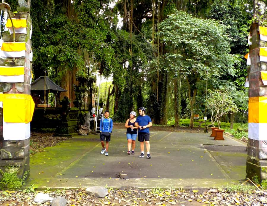 Ubud: Half-Day Tegallalang Electric Cycling Tour - Key points at a glance