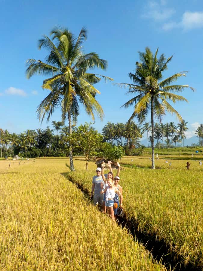 Ubud: Half-Day Tegallalang Electric Cycling Tour - Leaving Ubud by electric bike