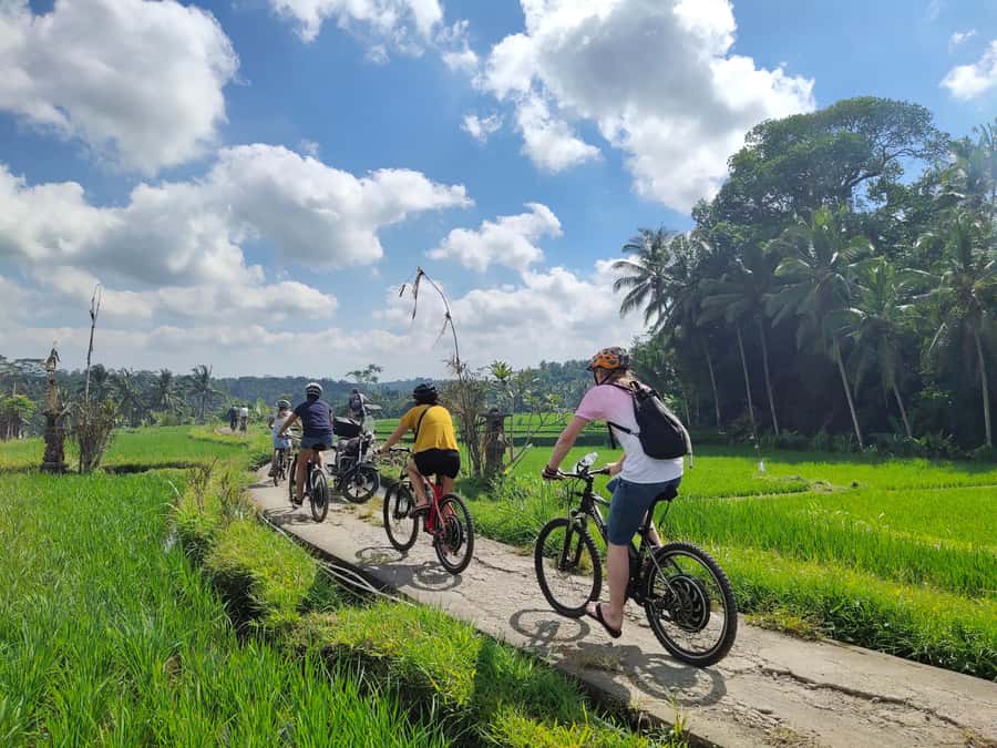 Ubud: Half-Day Tegallalang Electric Cycling Tour - Choosing coffee or a Balinese family compound