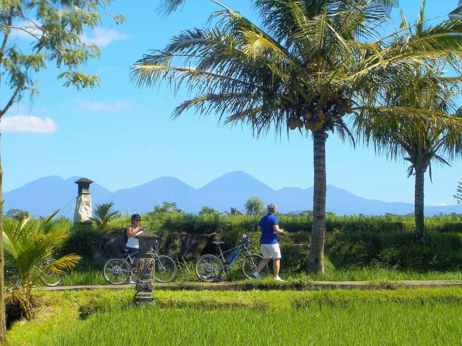 Ubud: Half-Day Tegallalang Electric Cycling Tour - What the roads feel like in practice