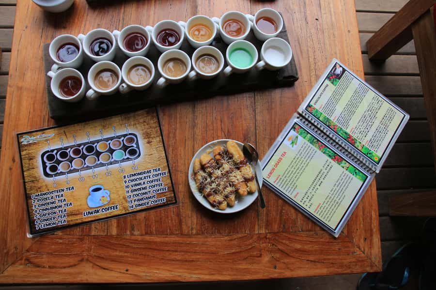 Ubud: Half-Day Tegallalang Electric Cycling Tour - Who should book this ride?