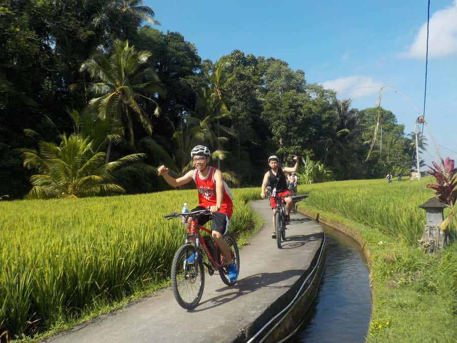 Ubud: Half-Day Tegallalang Electric Cycling Tour - How to get the most from the three hours