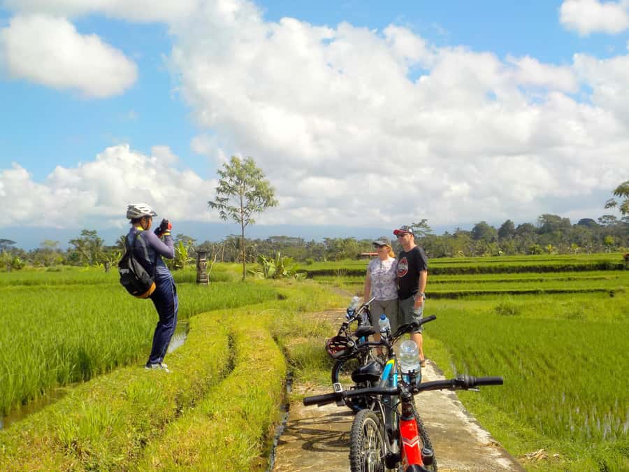 Ubud: Half-Day Tegallalang Electric Cycling Tour - Should you book the Tegallalang electric cycling tour?