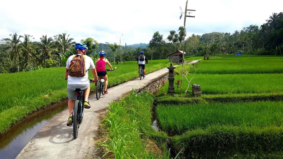 Ubud: Half-Day Tegallalang Electric Cycling Tour - Tegallalang’s rice terraces and farming life
