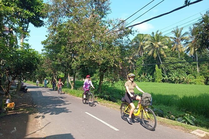 Ubud : Kintamani Downhill Cycling Tour with Lunch - The local school, village temple, and family compound