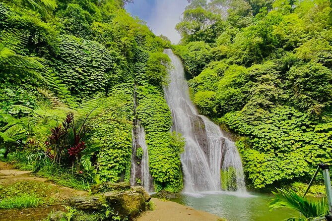 Ubud : Kintamani Downhill Cycling Tour with Lunch - The ride itself: easy, scenic, and not rushed