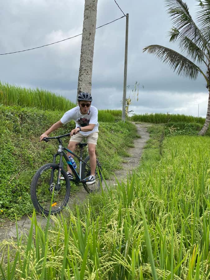 Ubud: Kintamani Downhill Cycling with small group & Private - Rolling from village to village