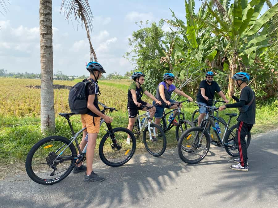 Ubud: Kintamani Downhill Cycling with small group & Private - Why the downhill design helps