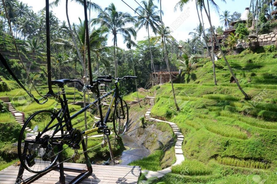 Ubud: Sky Bike Adventure, Swing & Rice Terrace with Transfer - Is $18 good value?