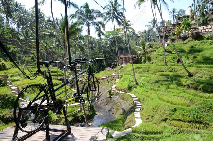 Ubud: Sky Bike Adventure, Swing & Rice Terrace with Transfer - The jungle swing and the Bali photo stop