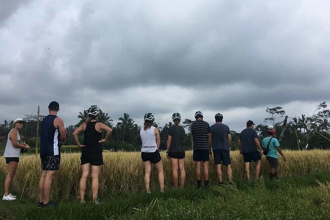 Ubud Wonderful Half Day Downhill Cycling Tour with Lunch - Riding through Manukaya for about two hours