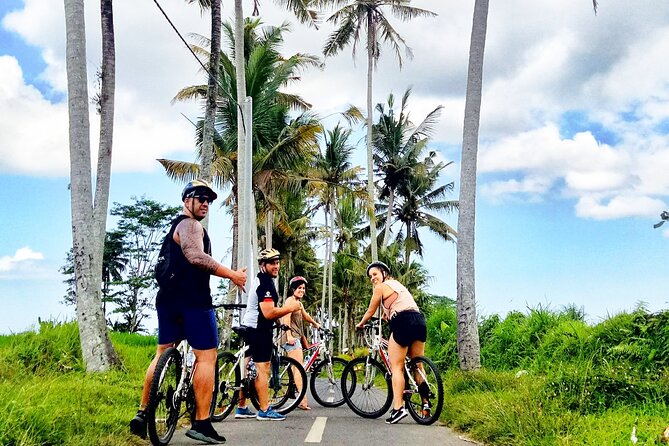 Ubud Wonderful Half Day Downhill Cycling Tour with Lunch - Lunch at Banjar Laplapan