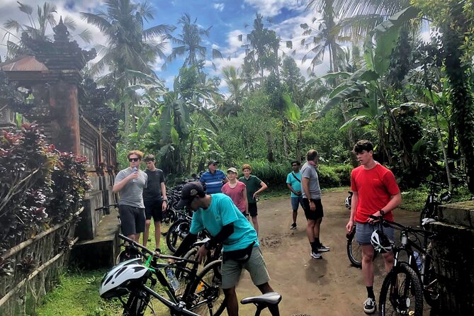 Ubud Wonderful Half Day Downhill Cycling Tour with Lunch - Who will enjoy this ride most