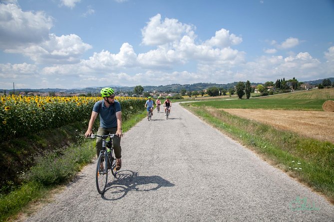 Umbria E-Bike & Wine Tour through Vineyards and Olive Groves - Why this six-hour Umbria ride works