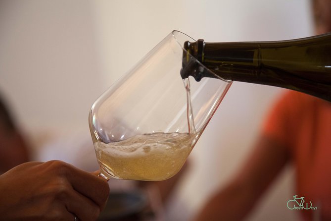 Umbria E-Bike & Wine Tour through Vineyards and Olive Groves - Wine and homemade lunch at Cantina La Fonte