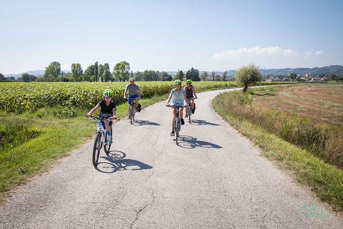 Umbria E-Bike & Wine Tour through Vineyards and Olive Groves - The short ride back keeps the finish easy