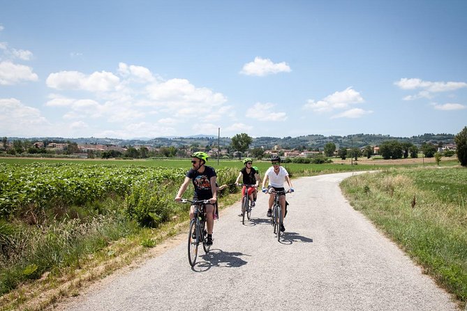 Umbria E-Bike & Wine Tour through Vineyards and Olive Groves - What the $205.16 price covers