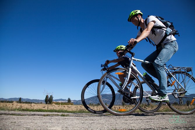 Umbria E-Bike & Wine Tour through Vineyards and Olive Groves - Who should book this ride