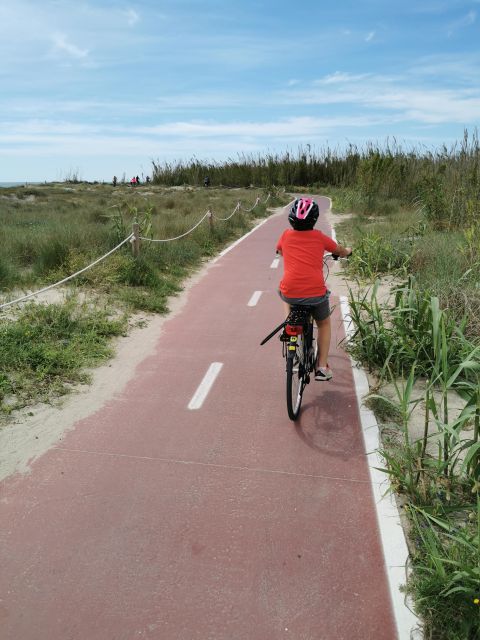 Valencia: Albufera Natural Park Bike and Boat Tour - From Valencia’s City of Arts to the rice fields