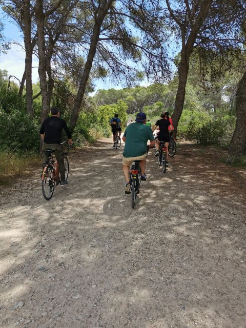 Valencia: Albufera Natural Park Bike and Boat Tour - Your bike comes along for the ride