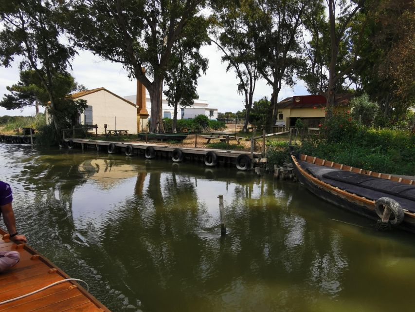 Valencia: Albufera Natural Park Bike and Boat Tour - Is $43 good value for this day out?