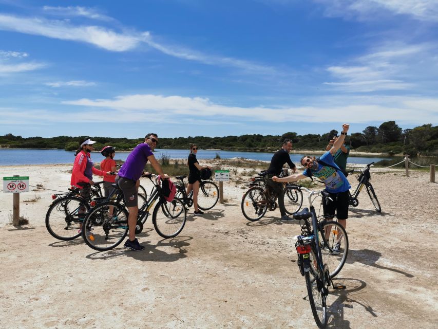 Valencia: Albufera Natural Park Bike and Boat Tour - Who will enjoy this Albufera bike tour?