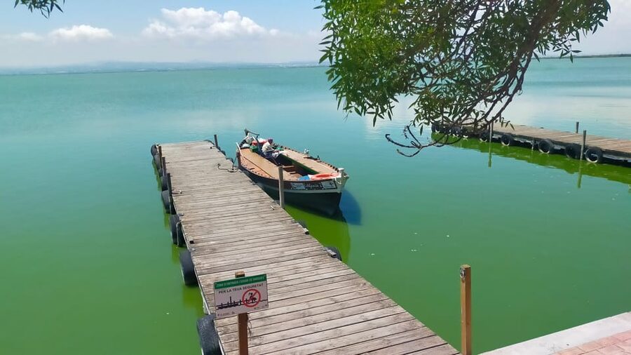 Valencia's Albufera, cycling guided tour - Should you book Valencia’s Albufera cycling tour?