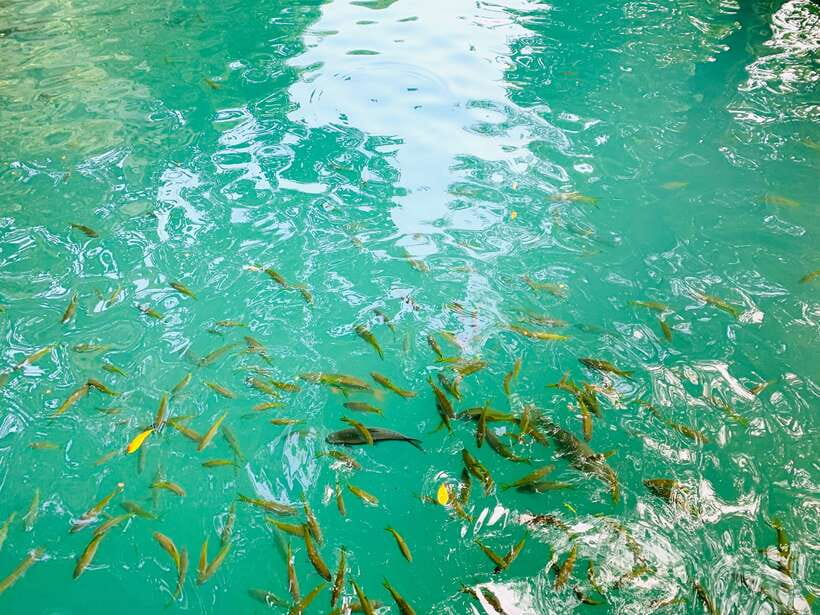Vang Vieng: Blue Lagoon and Countryside Bike Tour with Lunch - Swimming at Blue Lagoon One