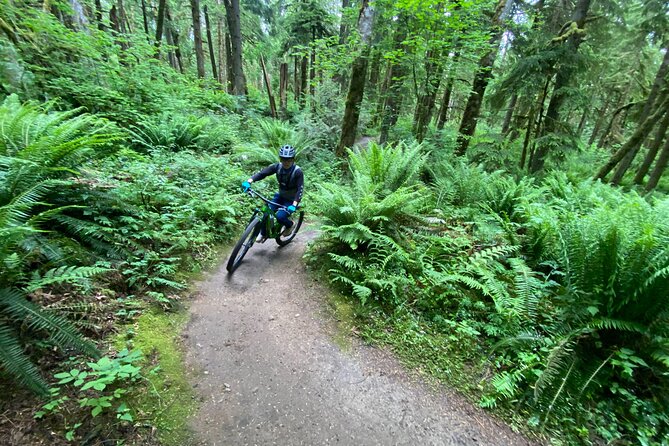 Viator Exclusive - Half Day Mountain Bike Tour from Seattle - What the ride feels like for different skill levels