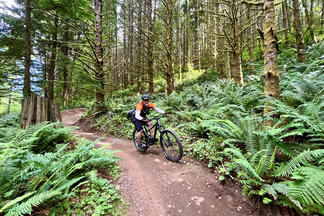 Viator Exclusive - Half Day Mountain Bike Tour from Seattle - Timing, weather, and practical limits