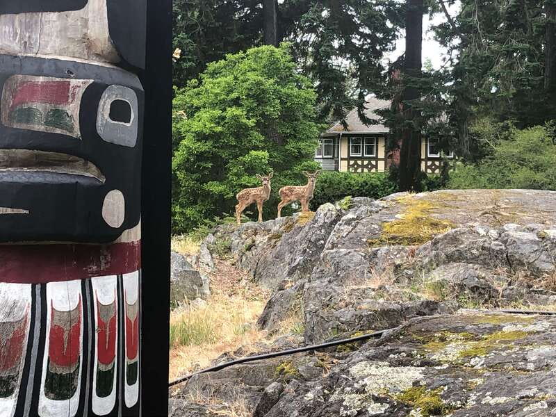 Victoria: 3-hour City Highlights Tour & Coastal Bike Ride - Chinatown, Fan Tan Alley, and street art