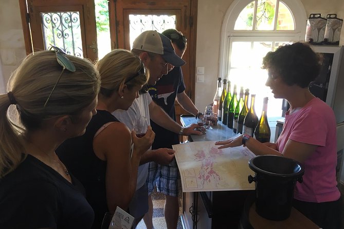 Vineyard cycle tours in and around Chinon, in the Loire Valley - Key points to know before you book