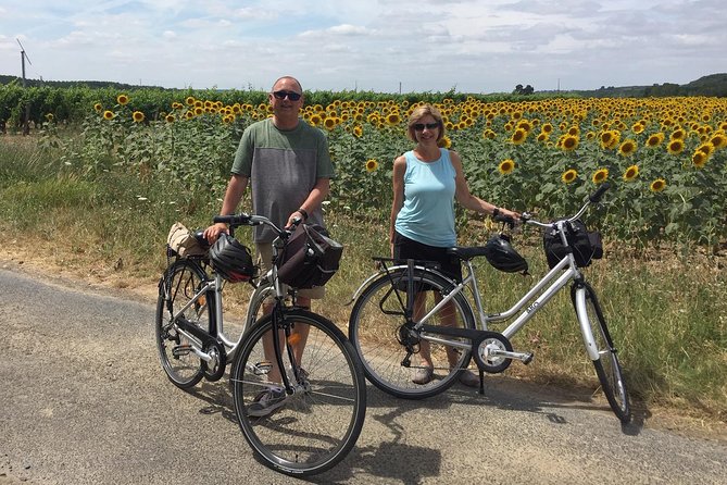 Vineyard cycle tours in and around Chinon, in the Loire Valley - What happens at the wineries
